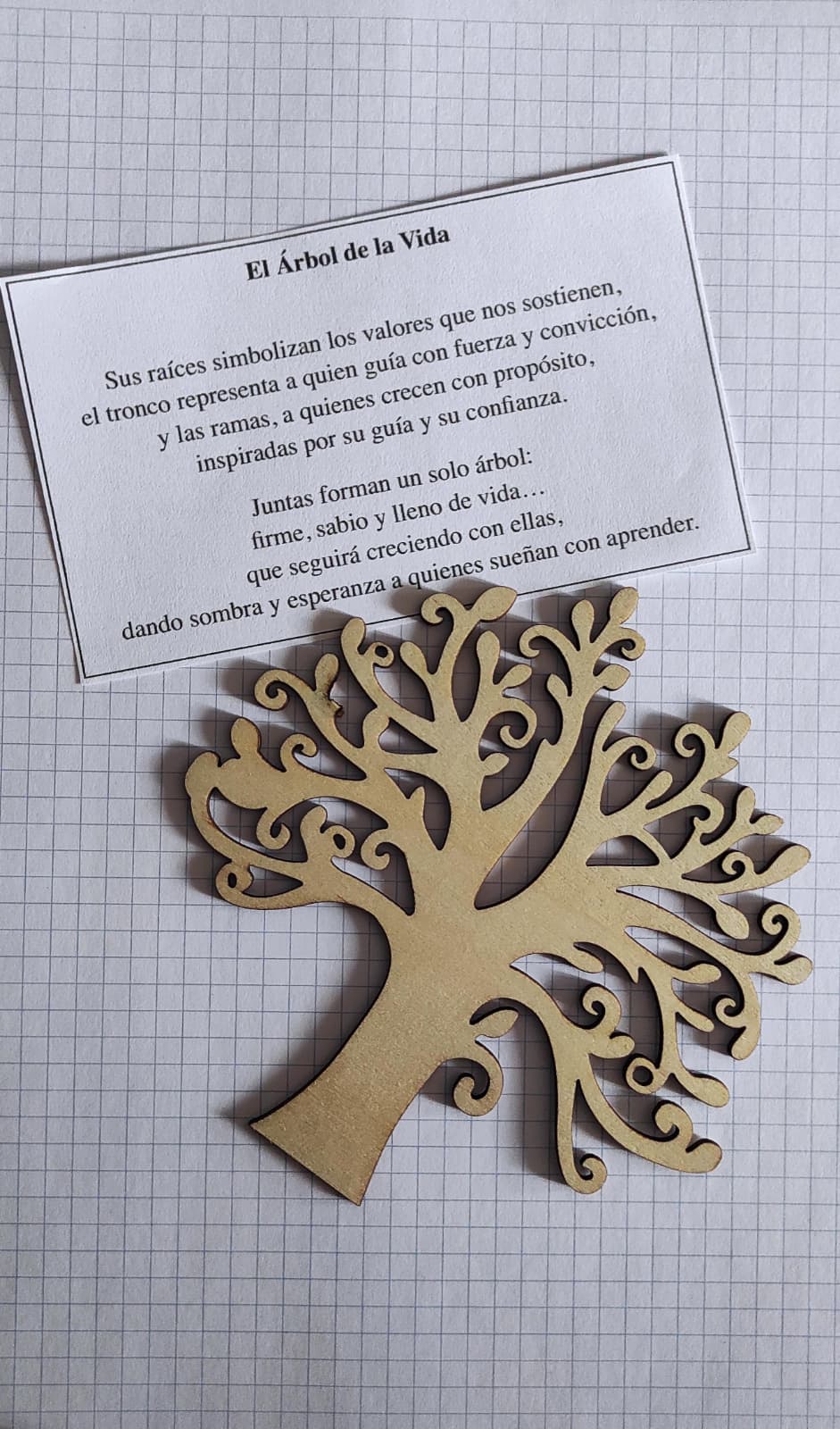 escoles-infantils-ninos-formacio25-2